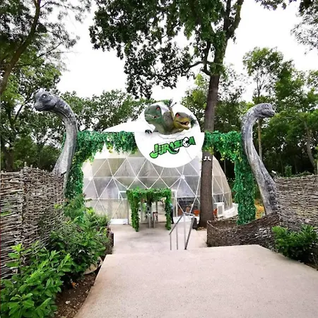 Gby * 尼普顿